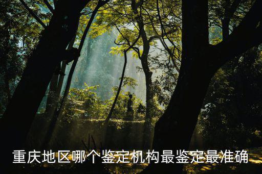 重慶地區哪個鑒定機構最鑒定最準確