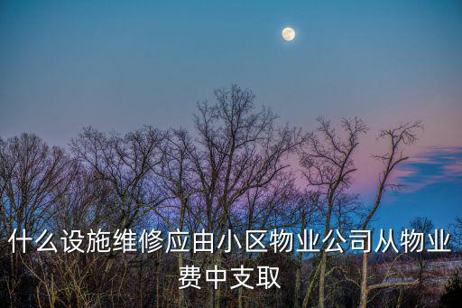 什么設施維修應由小區物業公司從物業費中支取