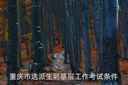 重慶市英才計劃申報條件，重慶市選派生到基層工作考試條件