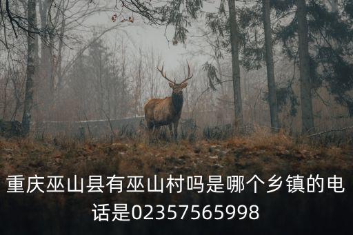 重慶巫山縣有巫山村嗎是哪個鄉鎮的電話是02357565998