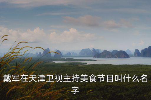 戴軍在天津衛視主持美食節目叫什么名字