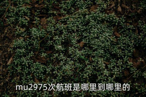 mu2975次航班是哪里到哪里的
