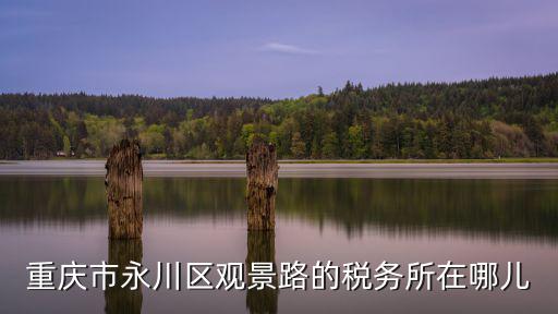 重慶市永川區稅務局官網，重慶市永川區地稅局在哪里