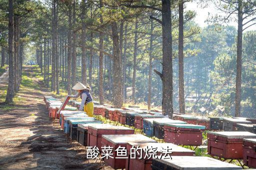 酸菜魚(yú)的做法大全,把魚(yú)撈出來(lái)再倒入酸菜再翻炒一會(huì)兒即可出鍋