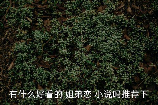姐弟戀小說,三歲男孩欺負女主網上爆紅【同居》