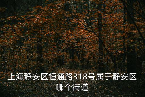 上海靜安區恒通路318號屬于靜安區哪個街道