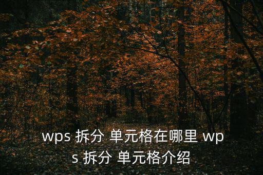  wps 拆分 單元格在哪里 wps 拆分 單元格介紹