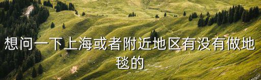 上海市阻燃地毯有哪些，想問一下上海或者附近地區(qū)有沒有做地毯的