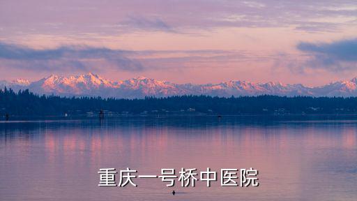 重慶一號橋中醫院
