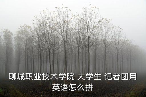 聊城職業技術學院 大學生 記者團用英語怎么拼