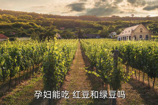 孕婦可以吃紅豆嗎,孕婦吃紅綠豆好處多對身體有好處