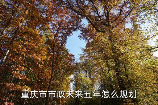 重慶市巿政未來(lái)五年怎么規(guī)劃