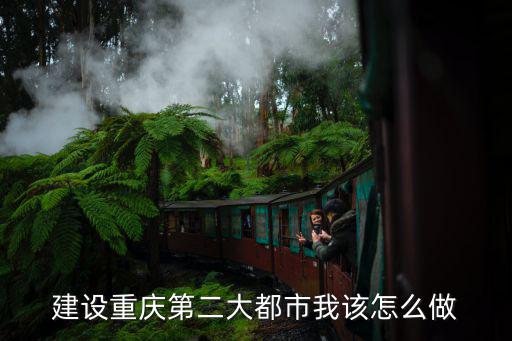 建設(shè)重慶第二大都市我該怎么做