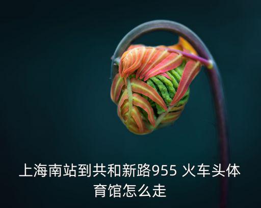 上海南站到共和新路955 火車頭體育館怎么走