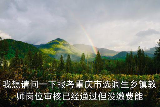 我想請問一下報考重慶市選調生鄉鎮教師崗位審核已經通過但沒繳費能