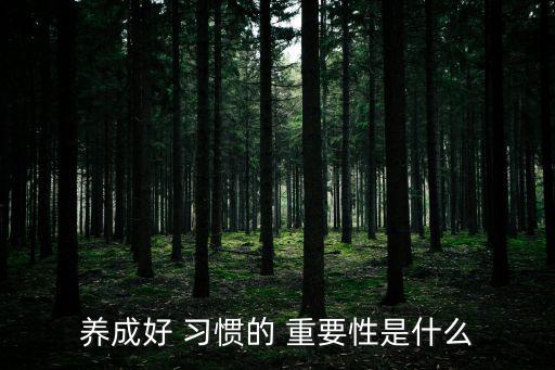 養成好 習慣的 重要性是什么