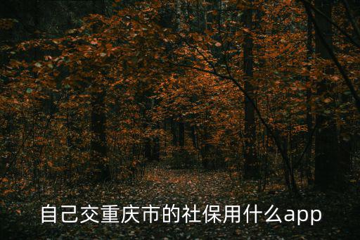 自己交重慶市的社保用什么app