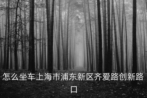 怎么坐車上海市浦東新區齊愛路創新路口