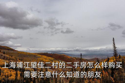 上海市閔行區(qū)望佳村小區(qū)，這是上海的哪個小區(qū)在什么區(qū)什么路