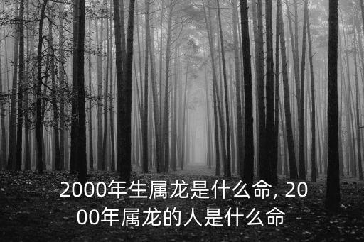 2000年什么命,2000年生而為龍