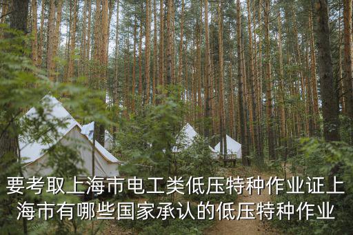 要考取上海市電工類低壓特種作業證上海市有哪些國家承認的低壓特種作業