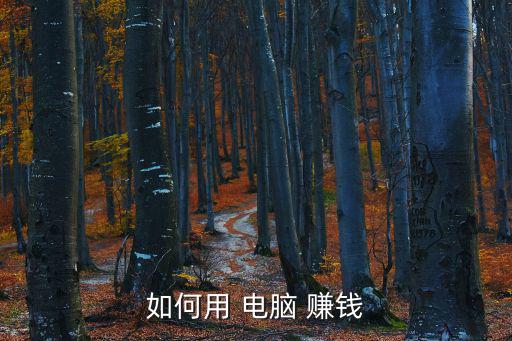 如何用 電腦 賺錢