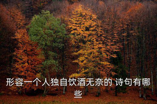 形容一個(gè)人獨(dú)自飲酒無奈的 詩句有哪些