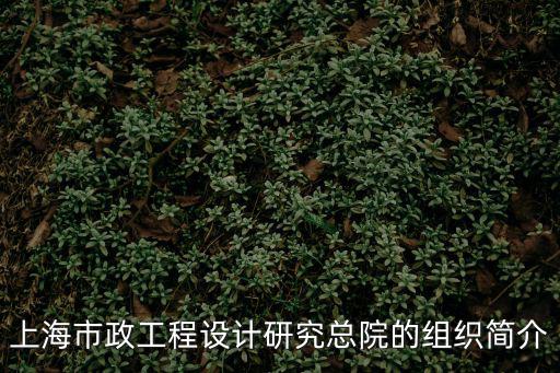 上海市政總院發生，上海市政工程設計研究總院的組織簡介
