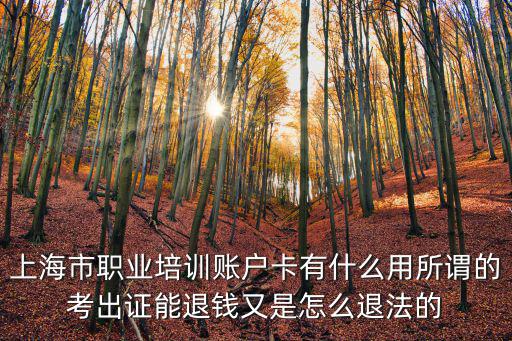 上海市職業培訓賬戶卡有什么用所謂的考出證能退錢又是怎么退法的