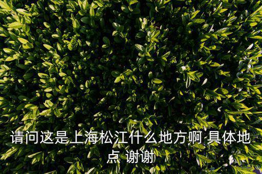 請問這是上海松江什么地方啊 具體地點 謝謝
