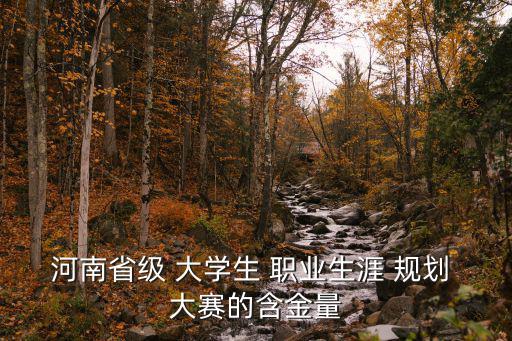 河南省級 大學生 職業生涯 規劃 大賽的含金量