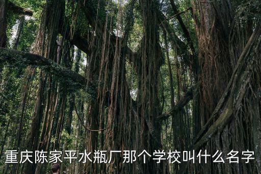 重慶陳家平水瓶廠那個學校叫什么名字