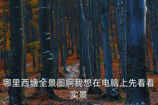 哪里西塘全景圖啊我想在電腦上先看看實(shí)景