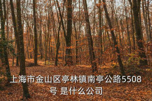 上海市金山區(qū)亭林鎮(zhèn)南亭公路5508號 是什么公司