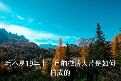 2019年上海市首臺套公示，現在設置寬帶套餐的話選電信還是移動會更好一點
