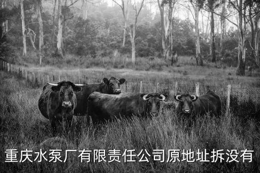 重慶市水泵廠是l，重慶水泵廠有限責任公司原地址拆沒有