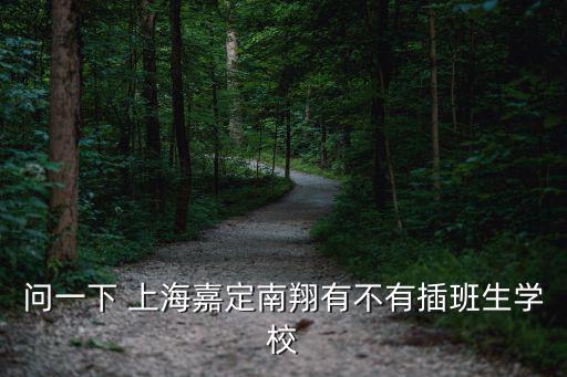 問一下 上海嘉定南翔有不有插班生學(xué)校