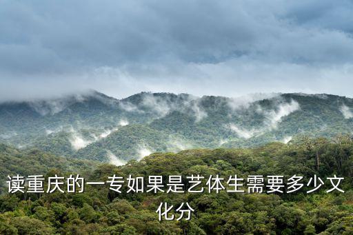 重慶市春琿人文技工分數，讀重慶的一專如果是藝體生需要多少文化分