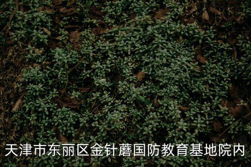 天津市東麗區(qū)金針蘑國防教育基地院內(nèi)