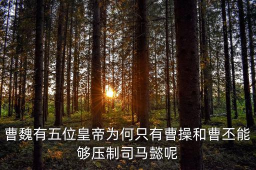 曹魏有五位皇帝為何只有曹操和曹丕能夠壓制司馬懿呢