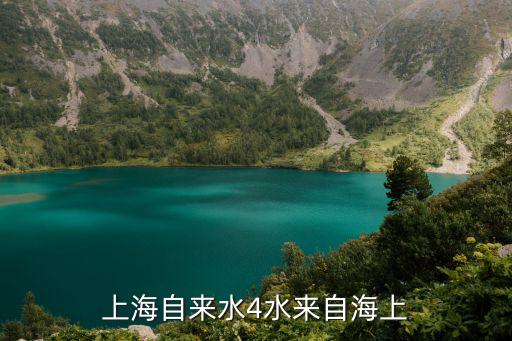 上海市供水總體規劃，上海自來水4水來自海上