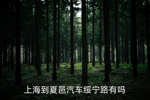 上海到夏邑汽車綏寧路有嗎