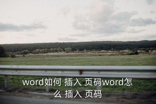 word如何 插入 頁碼word怎么 插入 頁碼