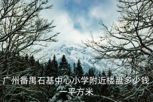 廣州番禺石基中心小學(xué)附近樓盤(pán)多少錢(qián)一平方米