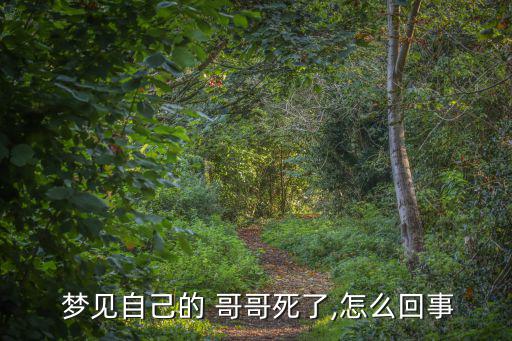  夢見自己的 哥哥死了,怎么回事