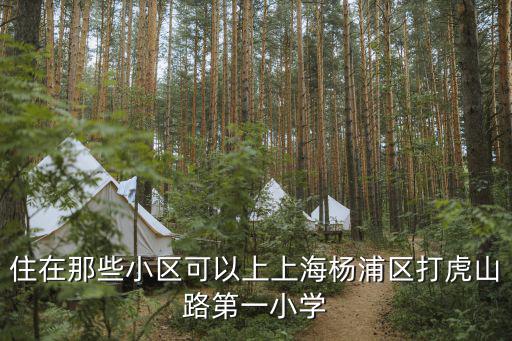 上海市打一小學對口小區，求上海打一小學對口的所有小區