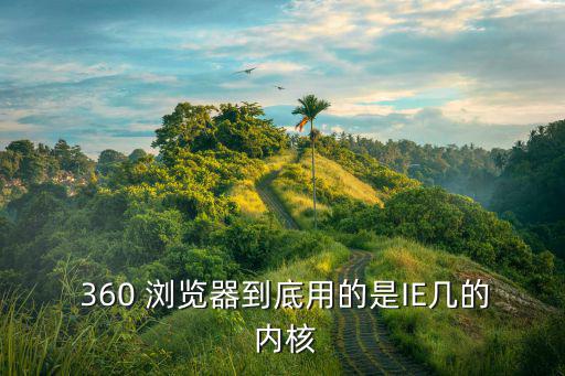 360 瀏覽器到底用的是IE幾的 內(nèi)核