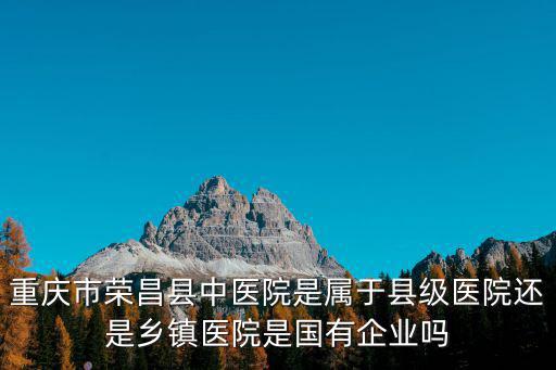 重慶市榮昌縣中醫院是屬于縣級醫院還是鄉鎮醫院是國有企業嗎