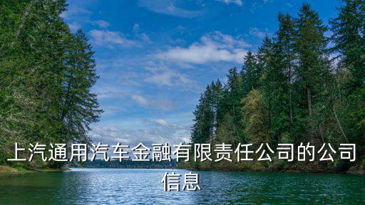上汽通用汽車金融有限責任公司的公司信息