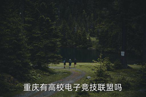 重慶有高校電子競技聯盟嗎